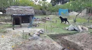 வாழ்வாதார உதவி!  | 16.Sep.2021