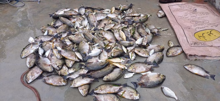 இயற்கையோடு இணைந்து இருங்கள்…!