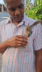 என் கடன் பணி செய்து கிடப்பதே…’