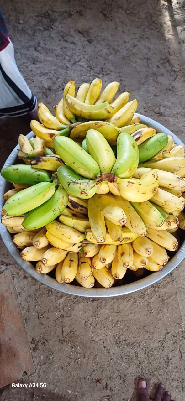 508160039_10162836264783112_984806846217258185_n