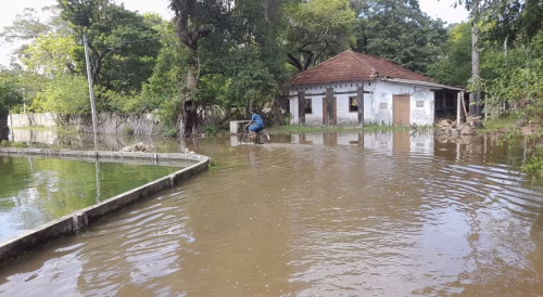 காரைநகர் பிரதேச சபையின் கவனத்திற்கு: காரைநகர் J/47 பிரதேசத்தில் அமைந்துள்ள மருதடி – நீலிப்பந்தனை வீதி, புதுவீதி – நீலிப்பந்தனை வீதி நிலைமை