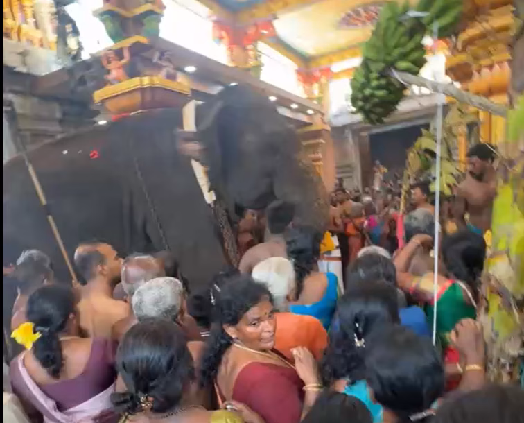 காரைநகர் வலந்தலை மருதடி வீரகத்தி விநாயகர் ஆலயம் மகாகும்பாபிஷேகம் 25.03.2026.