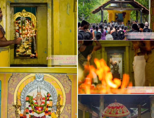காரைநகர் வலந்தலை நீலிப்பந்தனை ஶ்ரீ துர்க்கை அம்பாள் ஆலய பொங்கல் வேள்வி 16.05.2026 சனிக்கிழமை பக்தி பூர்வமாக இடம்பெற்றது.